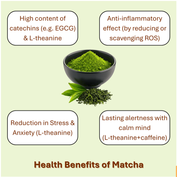 This image shows the health benefits of matcha consumption. 